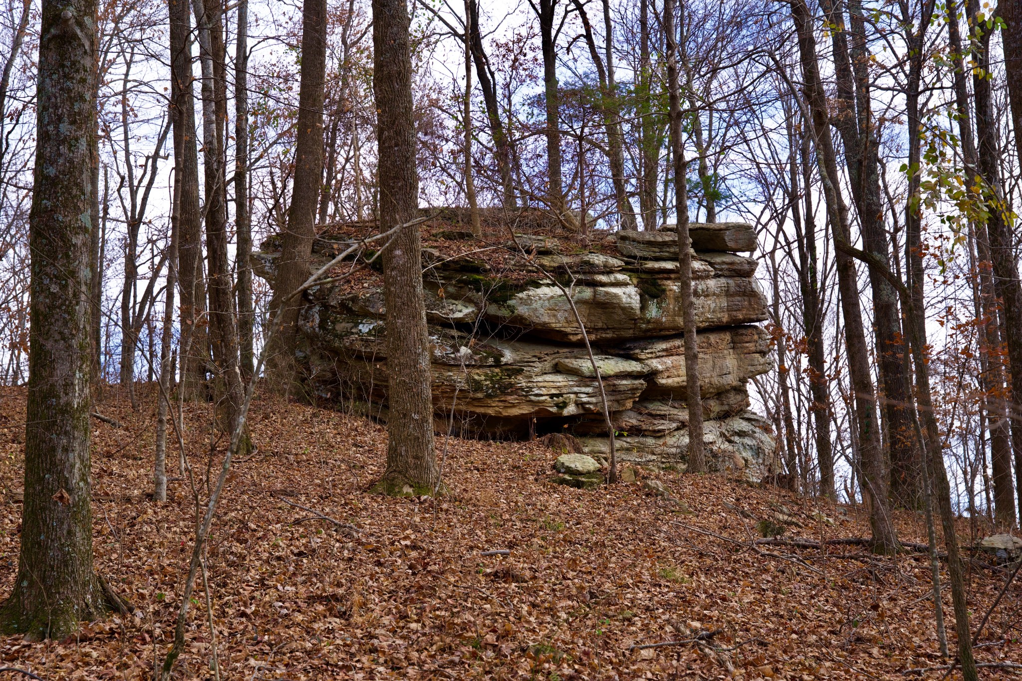 323 A White Oak Flatt Road Sparta, TN 38583 - Photo 10 of 45 a backyard of a house with table and chairs