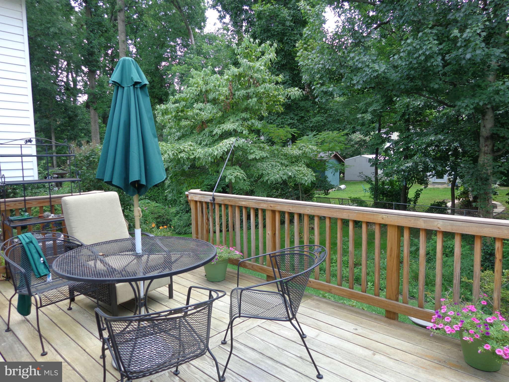 8207 Blairton Road Springfield, VA 22152 - Photo 6 of 21 Exterior Rear
