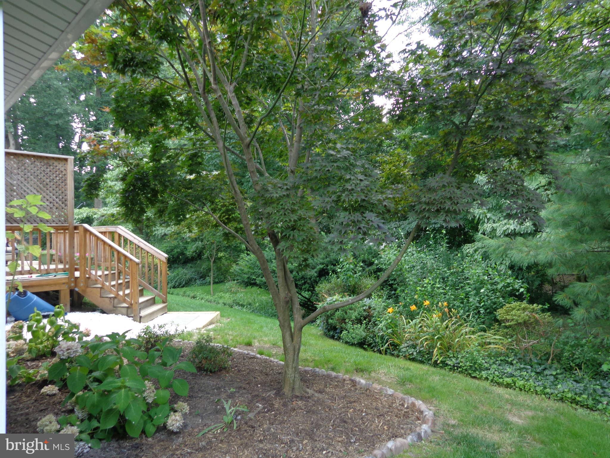 8207 Blairton Road Springfield, VA 22152 - Photo 7 of 21 Exterior General