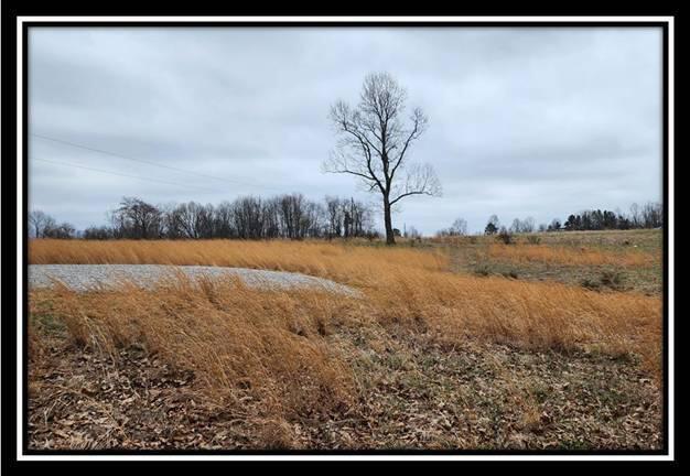 0 Metheny Fairplay Road, Unit TRACT 1) Vinton, OH 45686 - Photo 14 of 41 image013