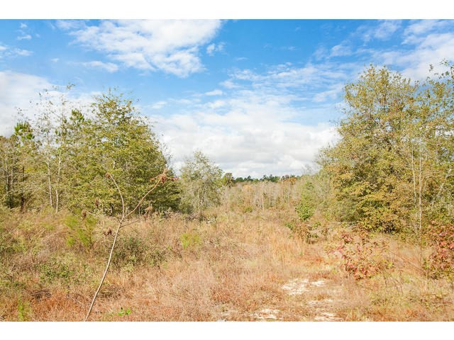 5260 Henderson Road Hephzibah, GA 30815 - Photo 50 of 52
