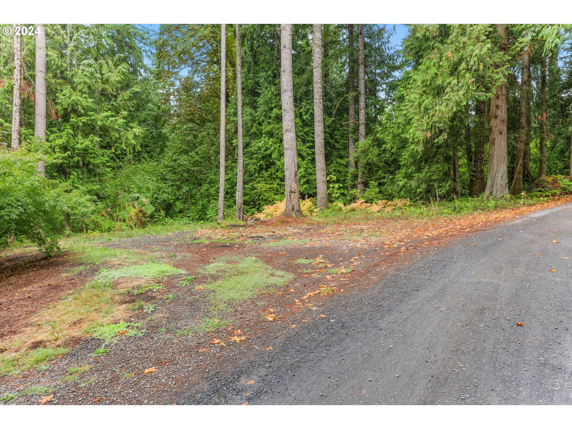 28247 South Moonridge Road Colton, OR 97017 - Photo 26 of 27 a view of a yard with large trees