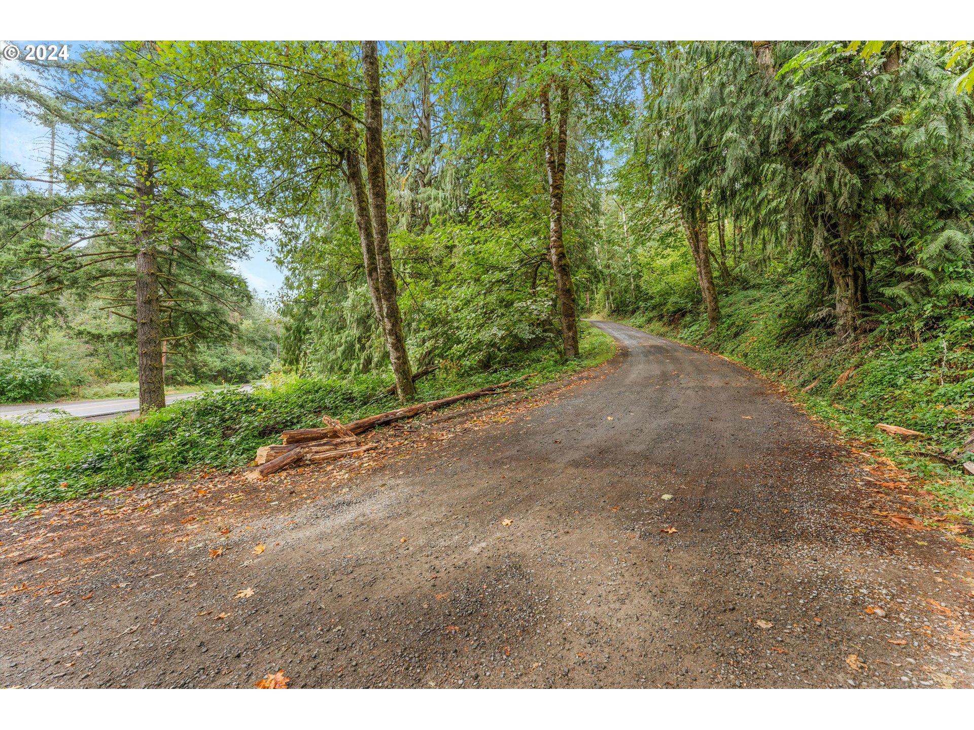 28247 South Moonridge Road Colton, OR 97017 - Photo 27 of 27 a view of a yard with large trees