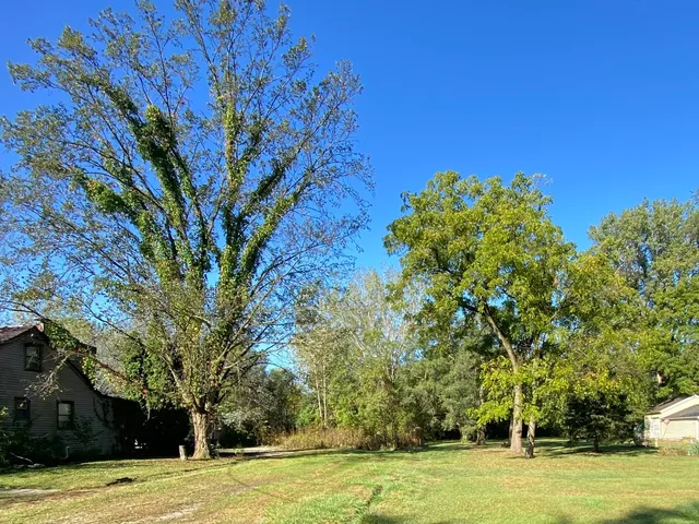 a view of a house with a trees