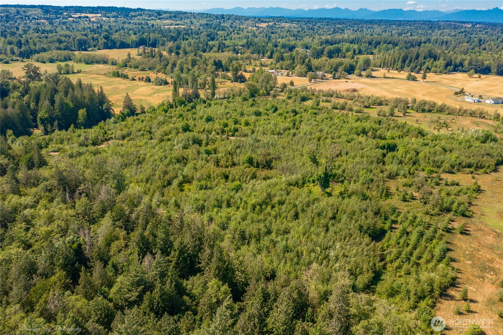 0 Sunrise Road Custer, WA 98240 - Photo 12 of 13