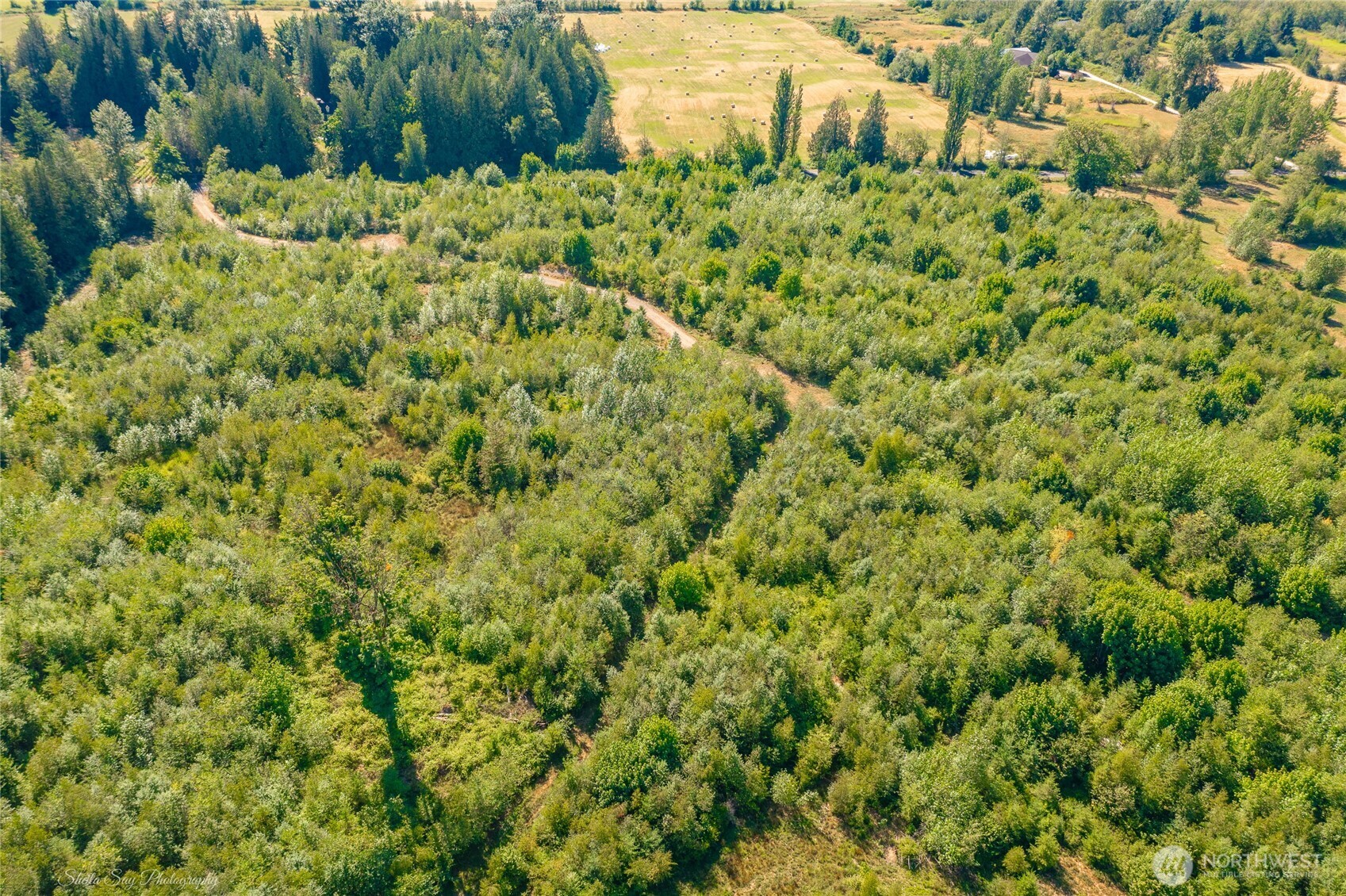 0 Sunrise Road Custer, WA 98240 - Photo 13 of 13