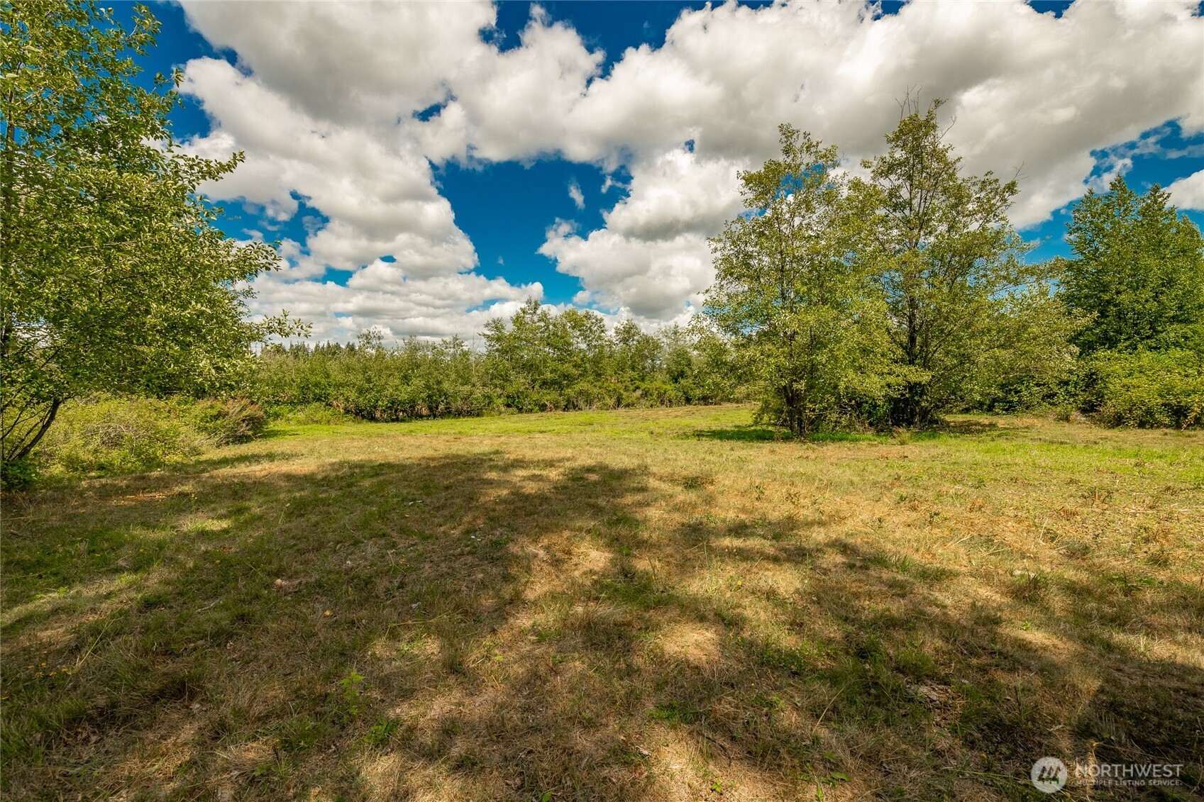 0 Sunrise Road Custer, WA 98240 - Photo 7 of 13