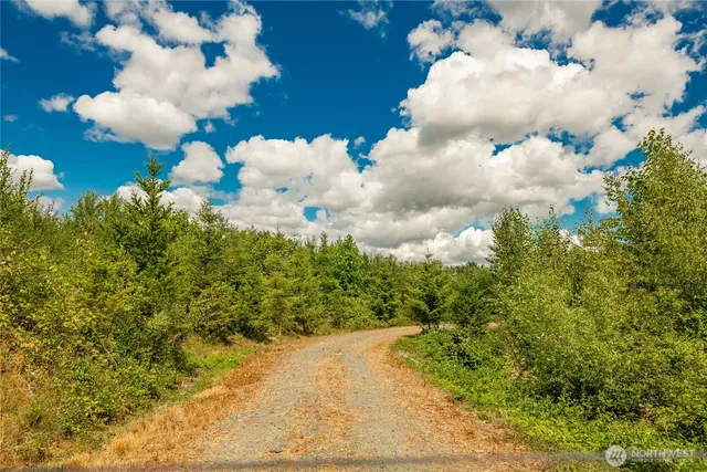 $785,000 | 0 Sunrise Road, Custer, WA 98240