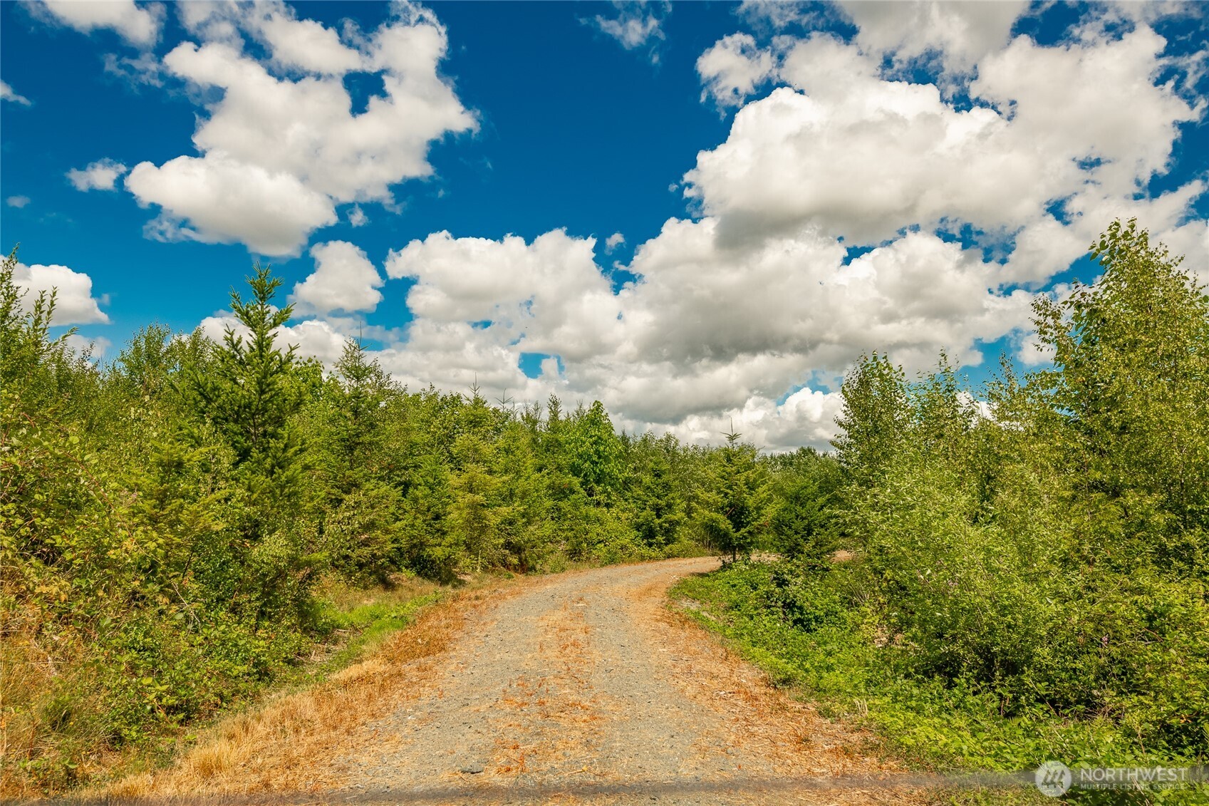 0 Sunrise Road Custer, WA 98240 - Photo 10 of 13