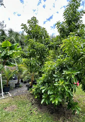 $429,000 | 369 Caloosa Drive, LaBelle, FL 33935