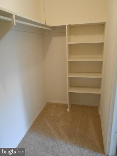2911 Charing Cross Road, Unit 15 Falls Church, VA 22042 - Photo 15 of 21 Bedroom (Master)