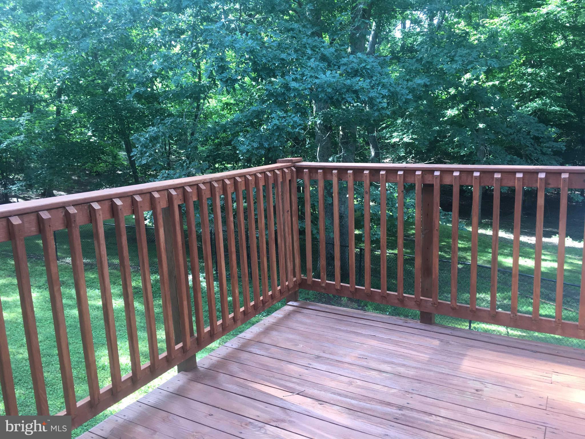 7020 Rison Drive Indian Head, MD 20640 - Photo 19 of 25 Nice Deck overlooking backyard