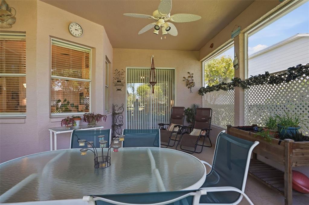 1430 Canberley Court Trinity, FL 34655 - Photo 36 of 66