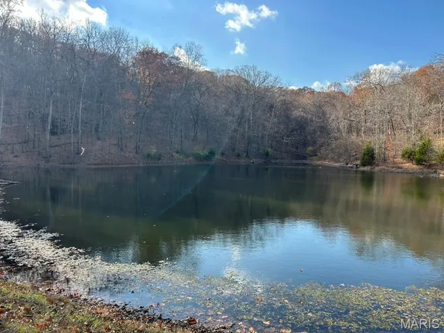 $45,000 | 60 Bluffs Drive, Unit 60, Eureka, MO 63025