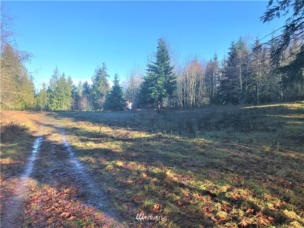 1351 Henry Boyd Road Port Angeles, WA 98362 - Photo 4 of 11 Gallery Image 4
