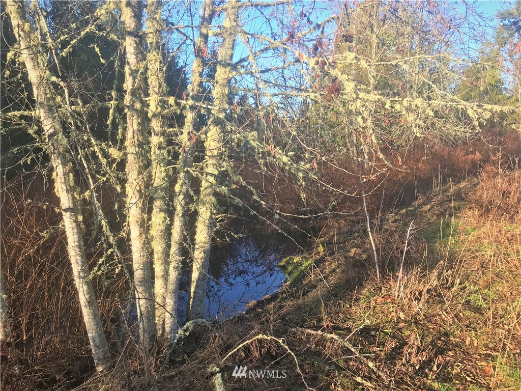 1351 Henry Boyd Road Port Angeles, WA 98362 - Photo 5 of 11 Gallery Image 5