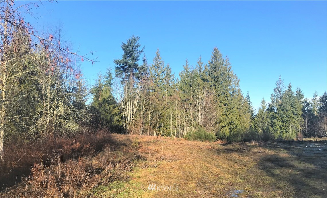 1351 Henry Boyd Road Port Angeles, WA 98362 - Photo 6 of 11 Gallery Image 6