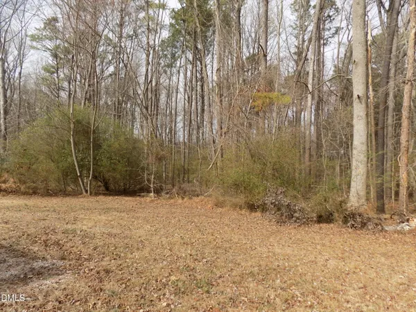 a view of space with trees