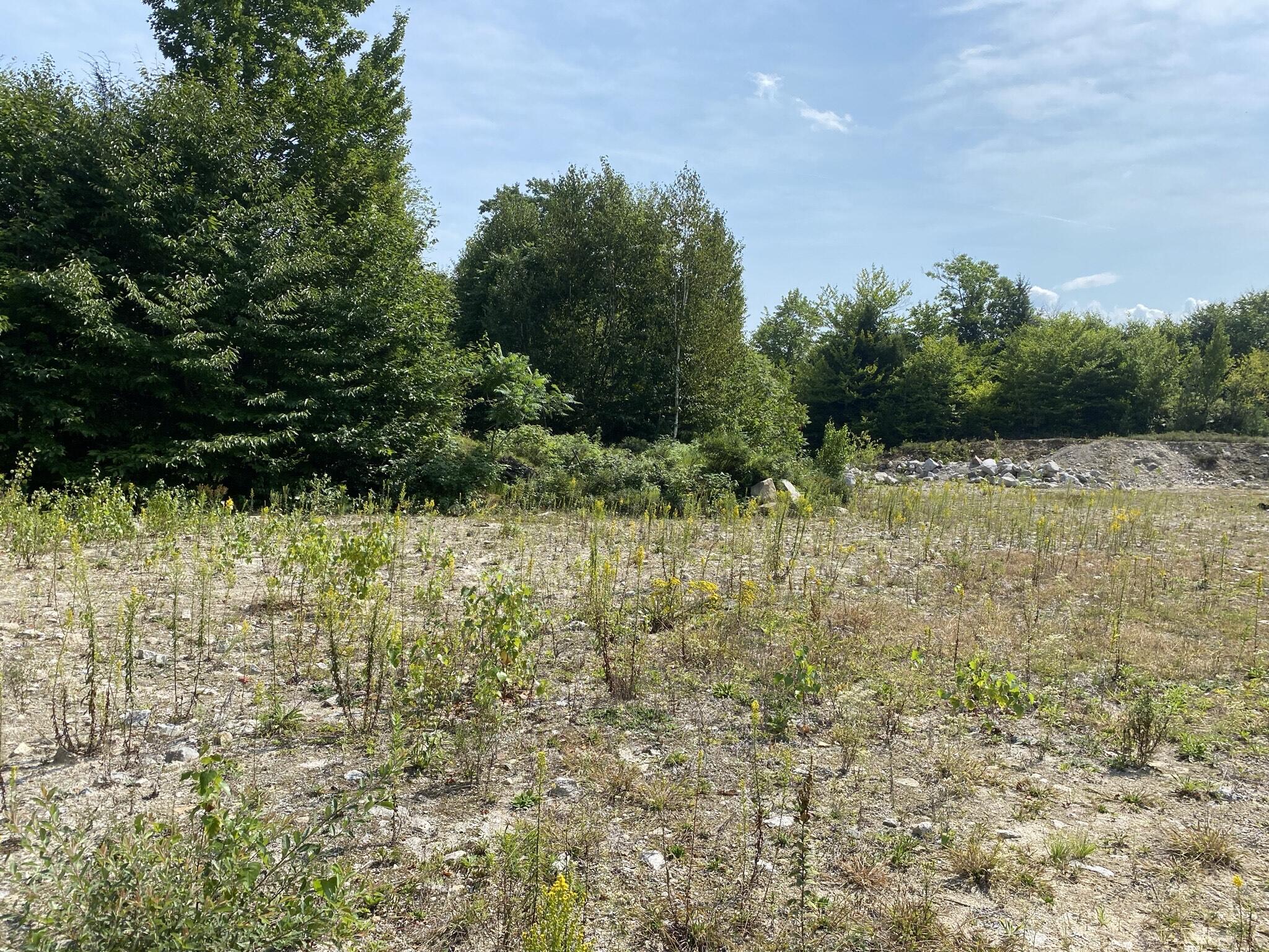 17 South Tamworth Road Otisfield, ME 04270 - Photo 1 of 7 image_6487327 (5)