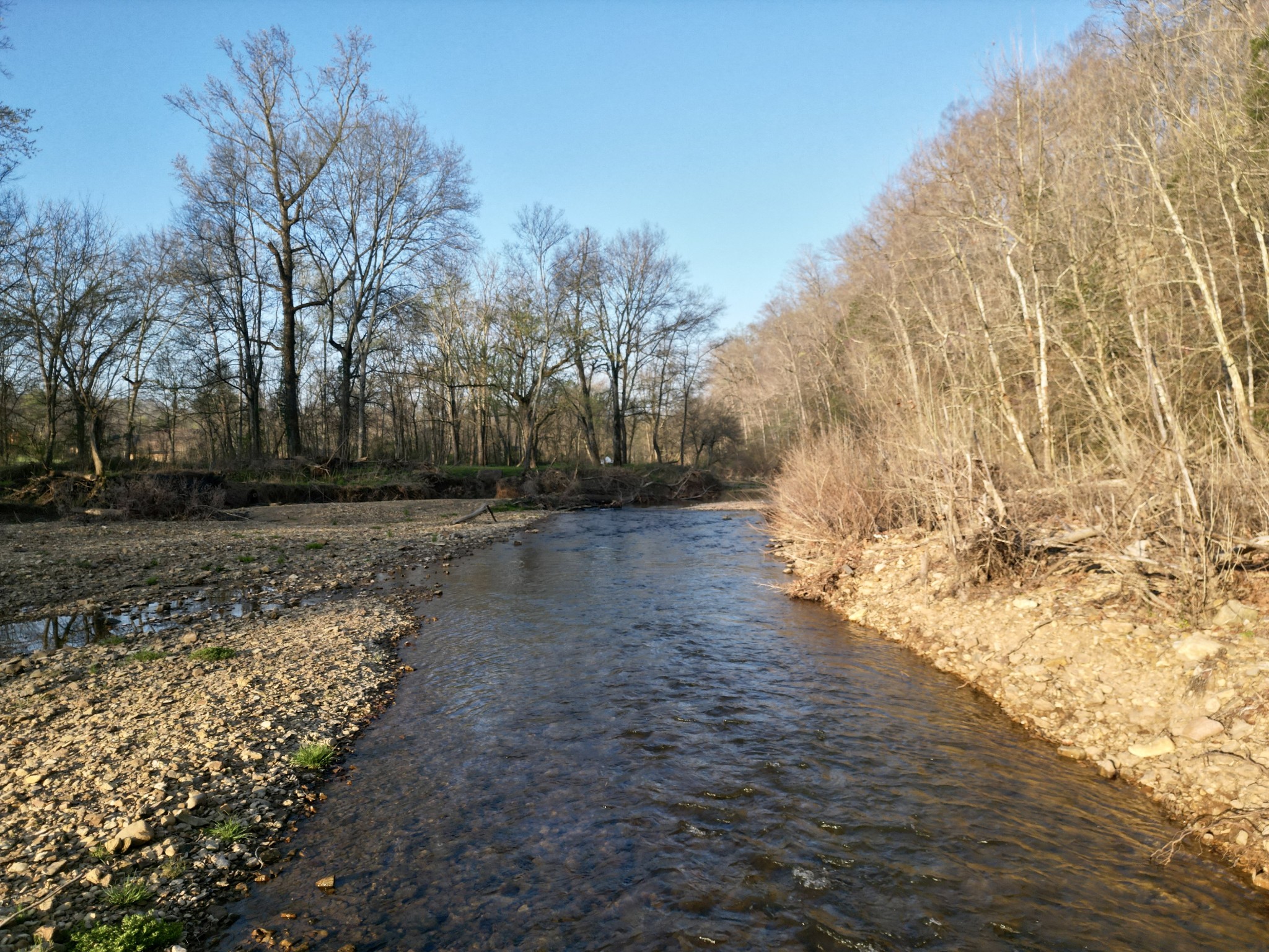 1875 New Hope Road Joelton, TN 37080 - Photo 3 of 79