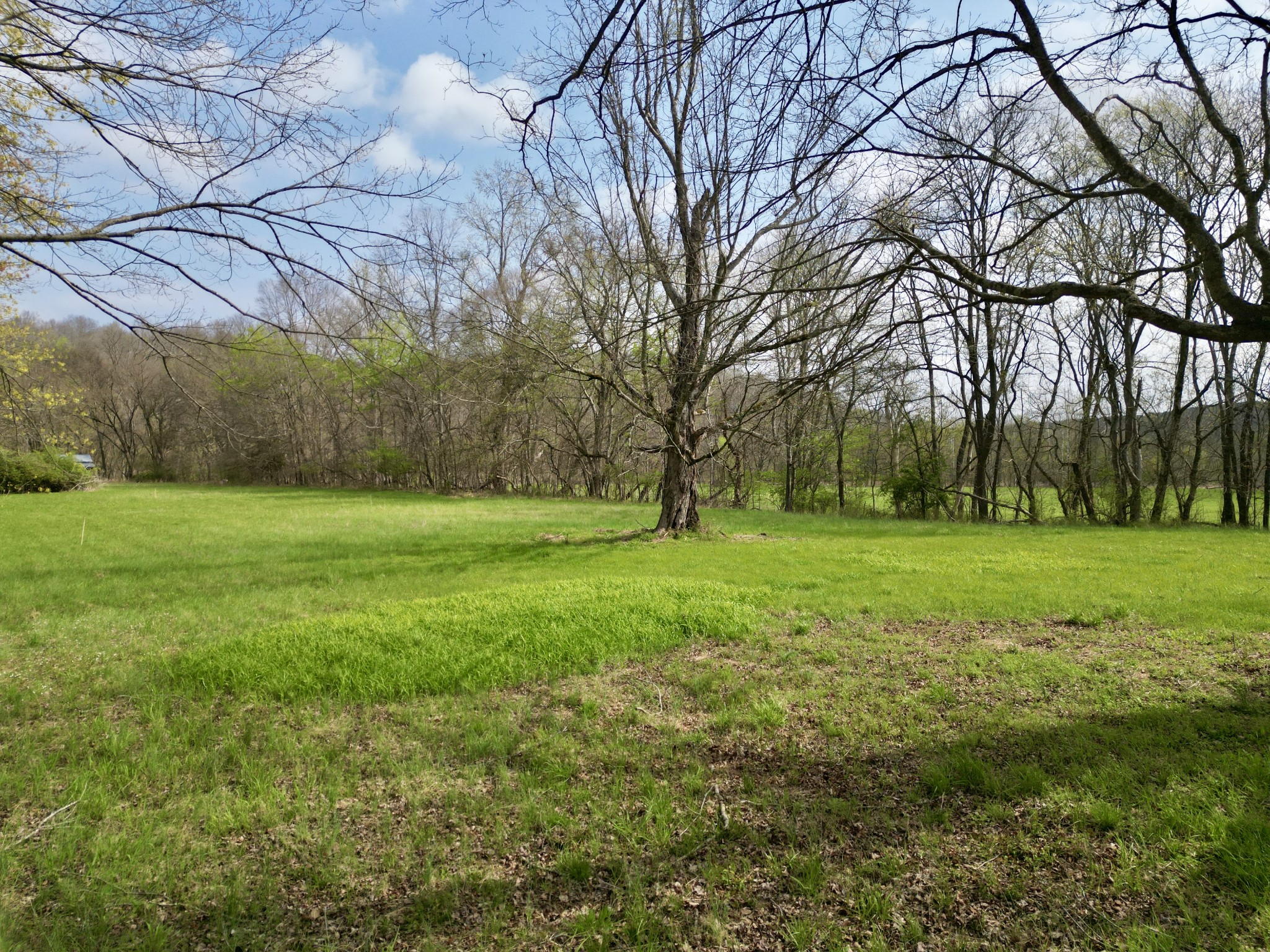 1875 New Hope Road Joelton, TN 37080 - Photo 79 of 79