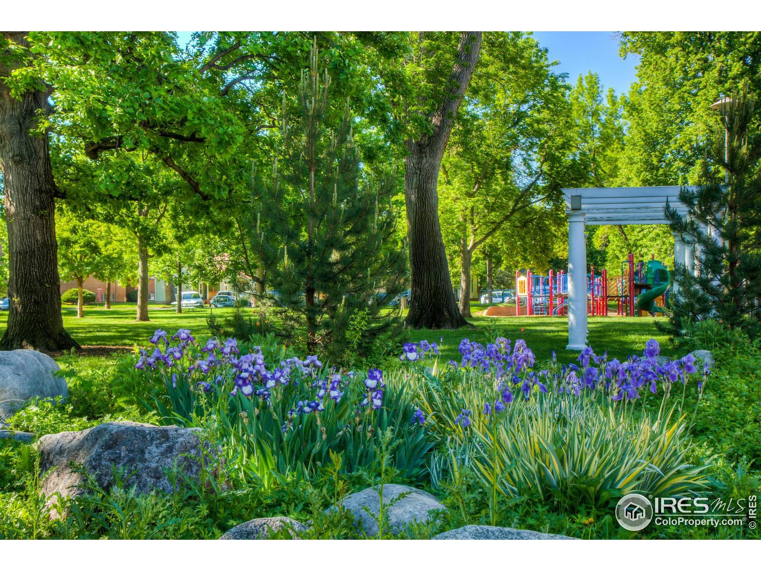 153 Mathews Street, Unit 113A Fort Collins, CO 80524 - Photo 16 of 29 a view of a bunch of flowers in it