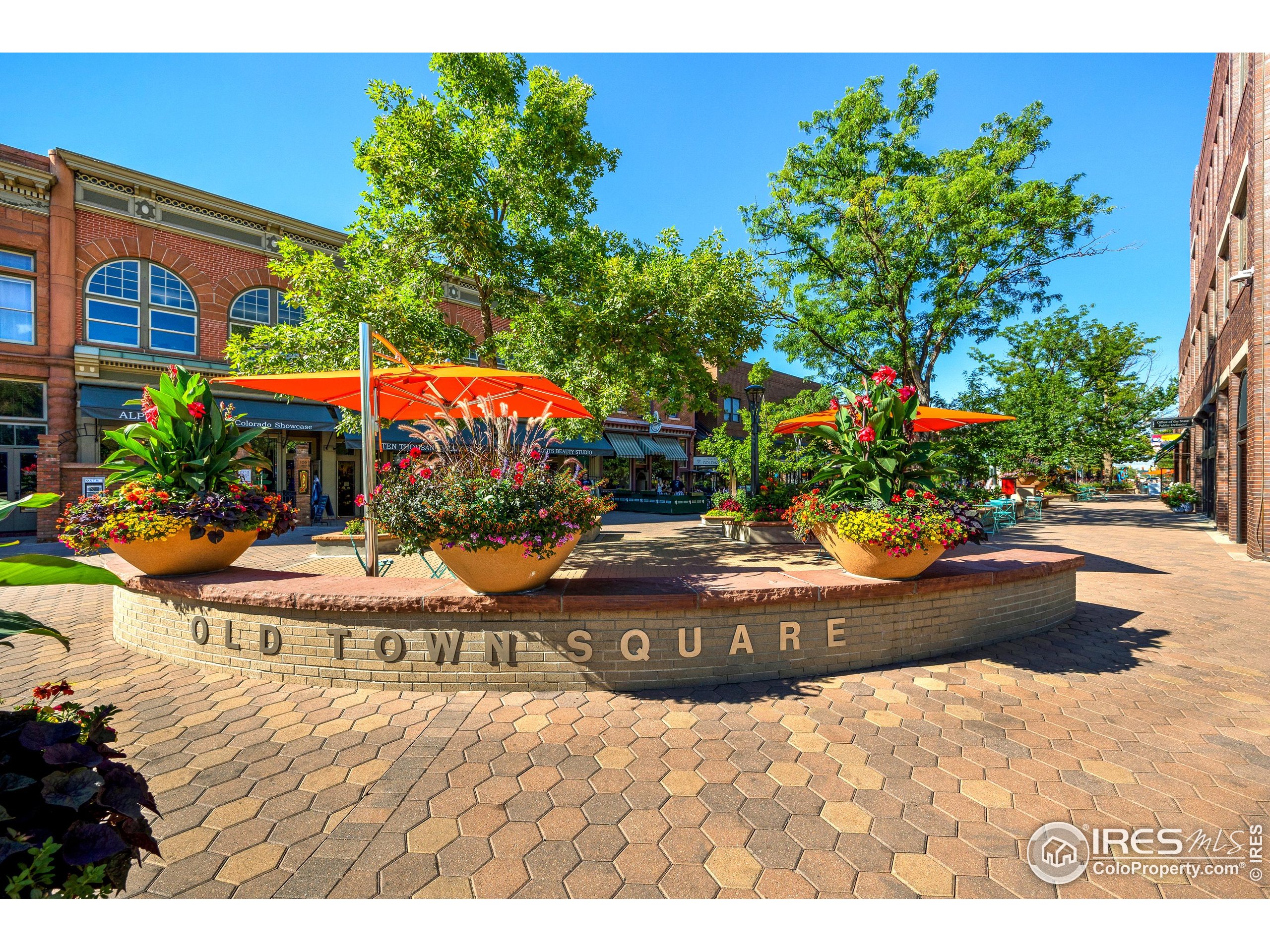 153 Mathews Street, Unit 113A Fort Collins, CO 80524 - Photo 25 of 29 a view of outdoor space patio and swimming pool