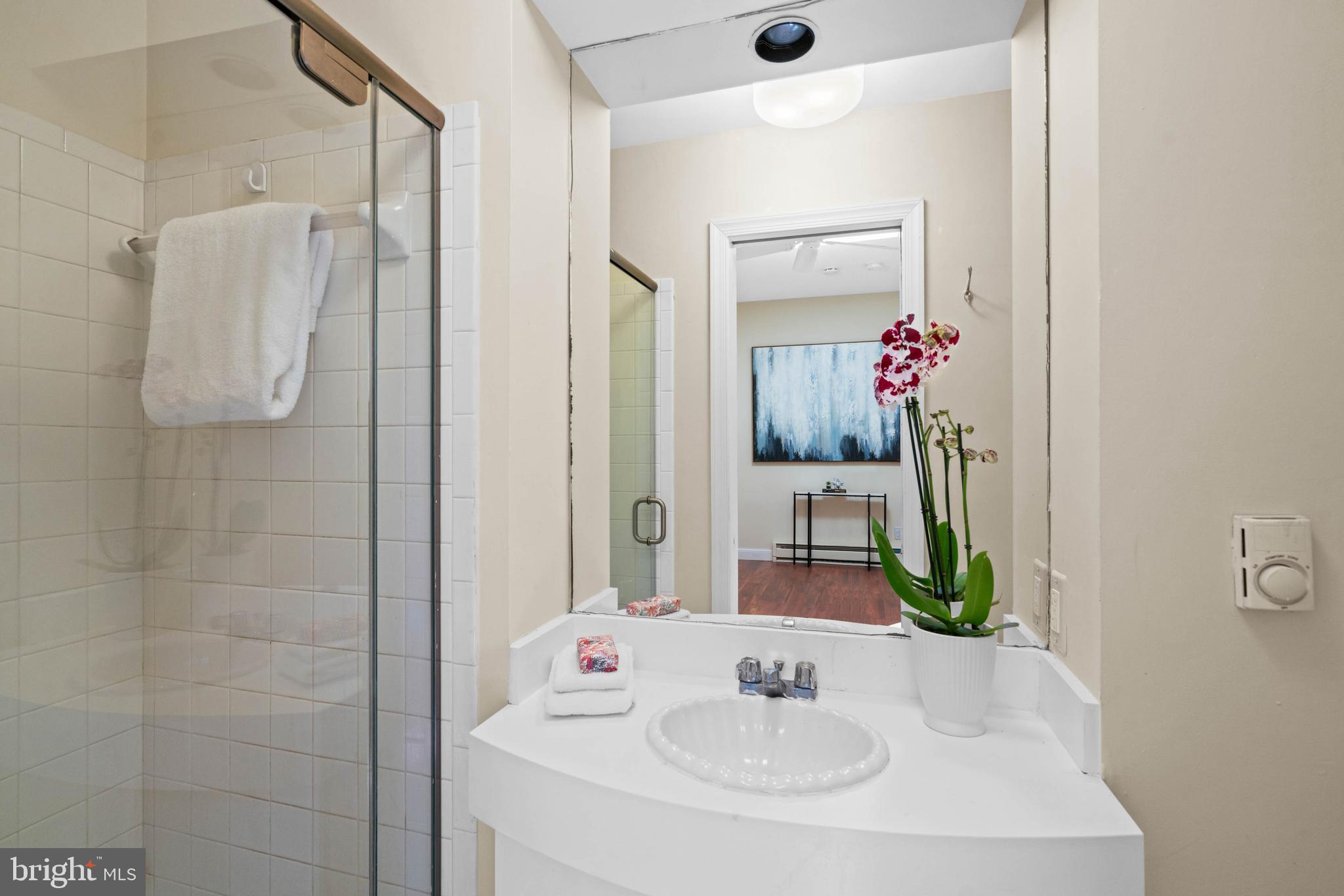 1406 34th Street Northwest Washington, DC 20007 - Photo 43 of 45 a bathroom with a sink and a mirror