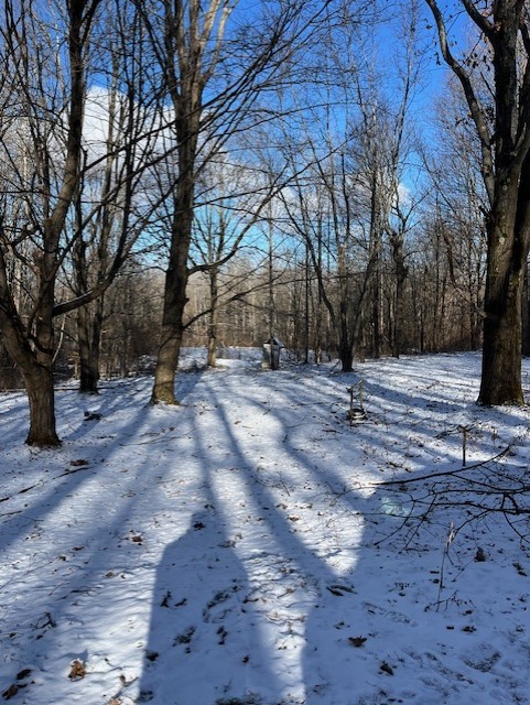 6971 Echo Mountain Road Canadice, NY 14560 - Photo 5 of 12