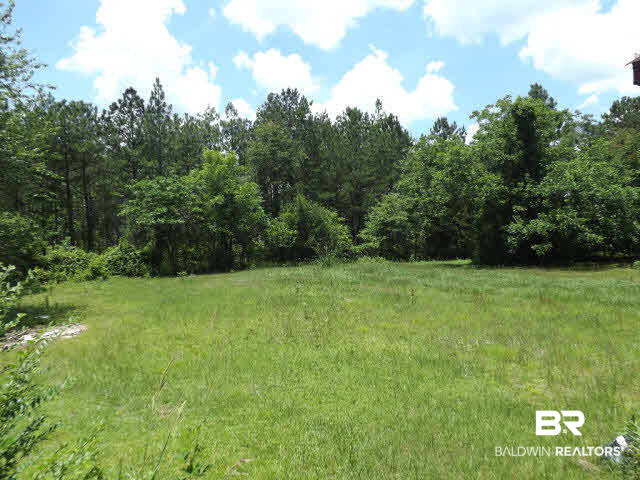 373 Heaton Circle Brewton, AL 36426 - Photo 2 of 16 Back Yard