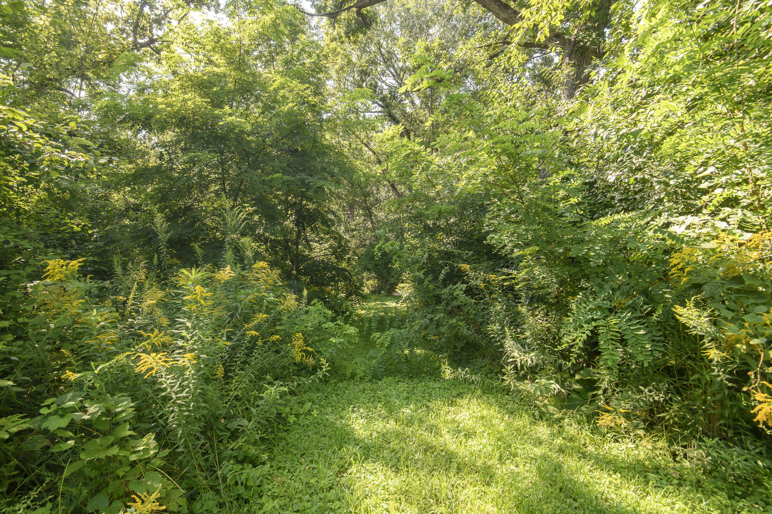 N2006 River Oaks Road Portland, WI 53579 - Photo 27 of 28 N2006 River oaks-3