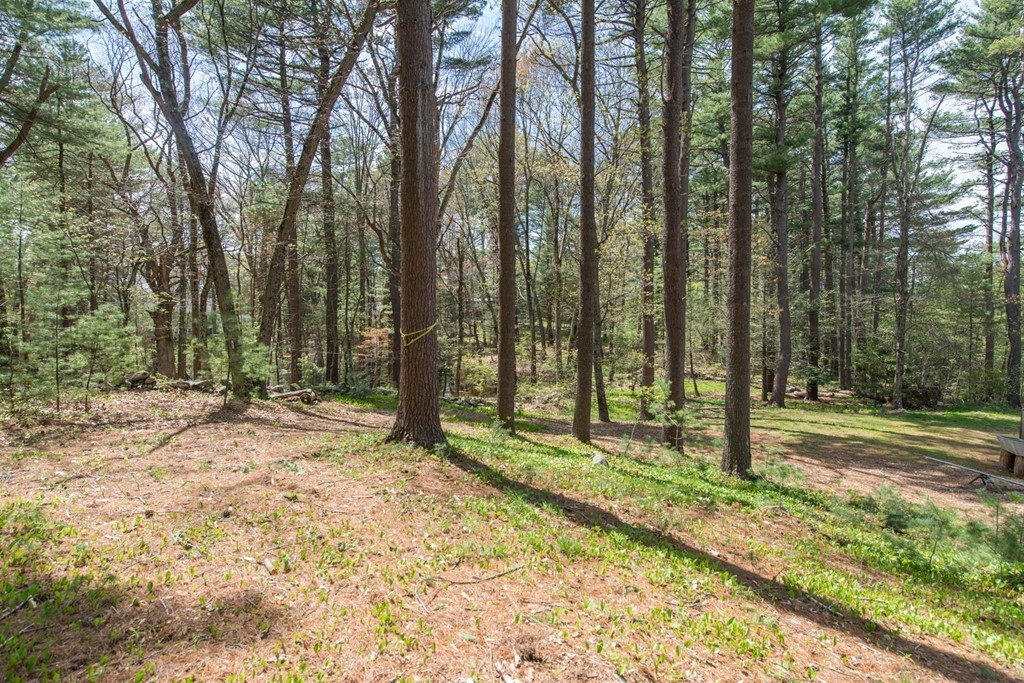 9 Legion Road Weston, MA 02493 - Photo 27 of 30 a view of outdoor space with trees