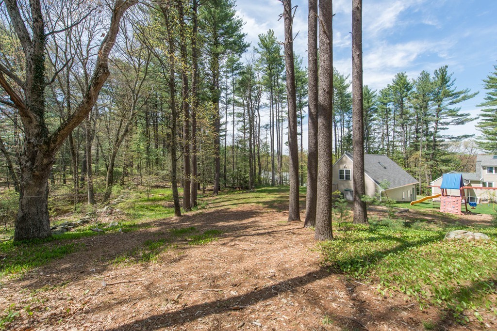 9 Legion Road Weston, MA 02493 - Photo 30 of 30 a view of a park with tree s