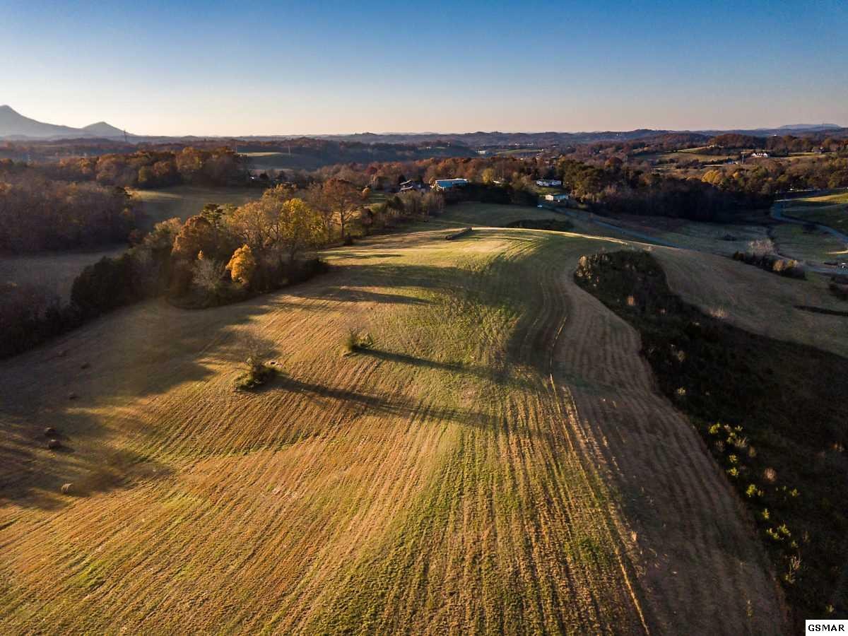 2854 Acres Denton Road Sevierville, TN 37862 - Photo 8 of 9