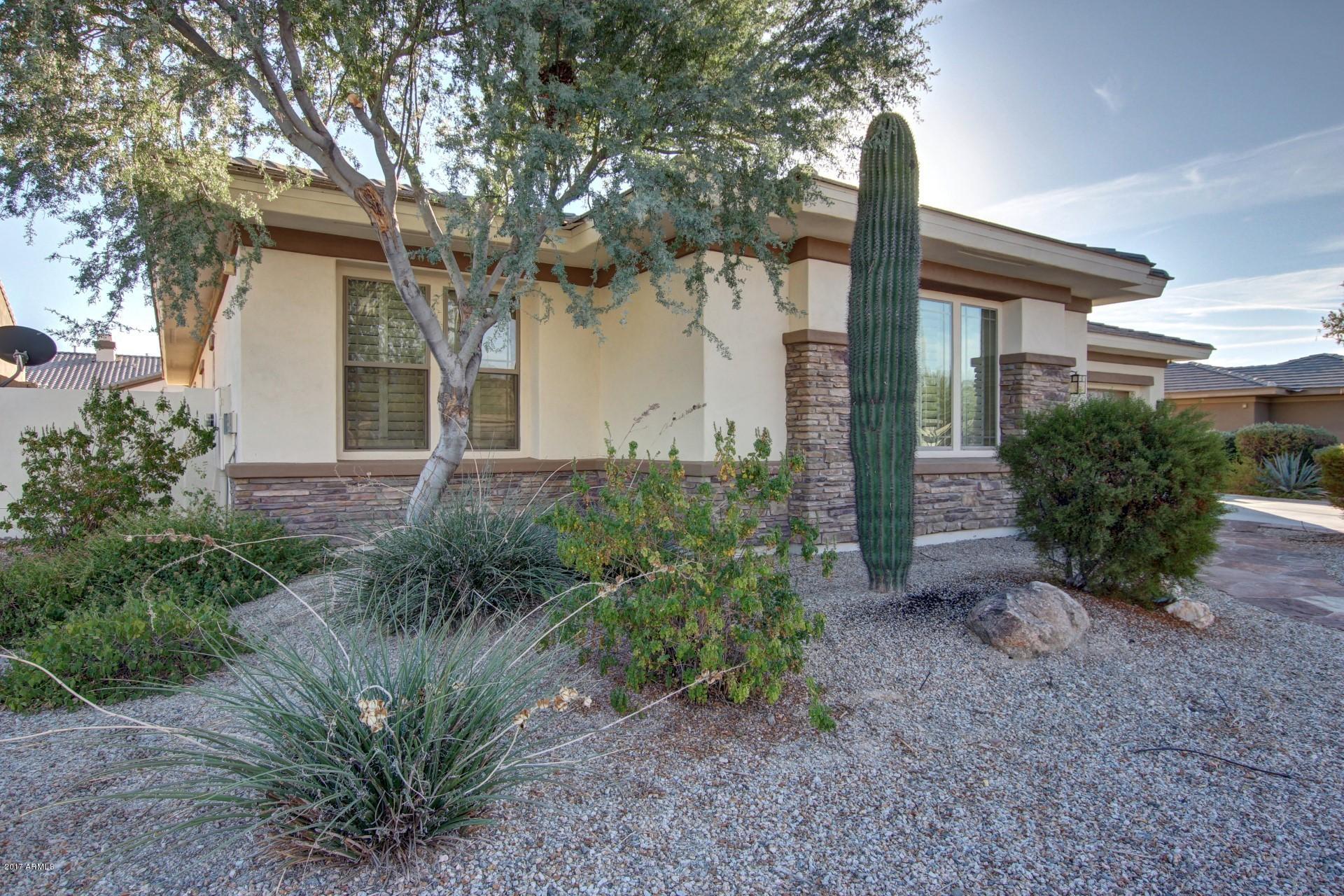 18083 West Narramore Road Goodyear, AZ 85338 - Photo 52 of 85 0003-Narramore - 18083 (3)