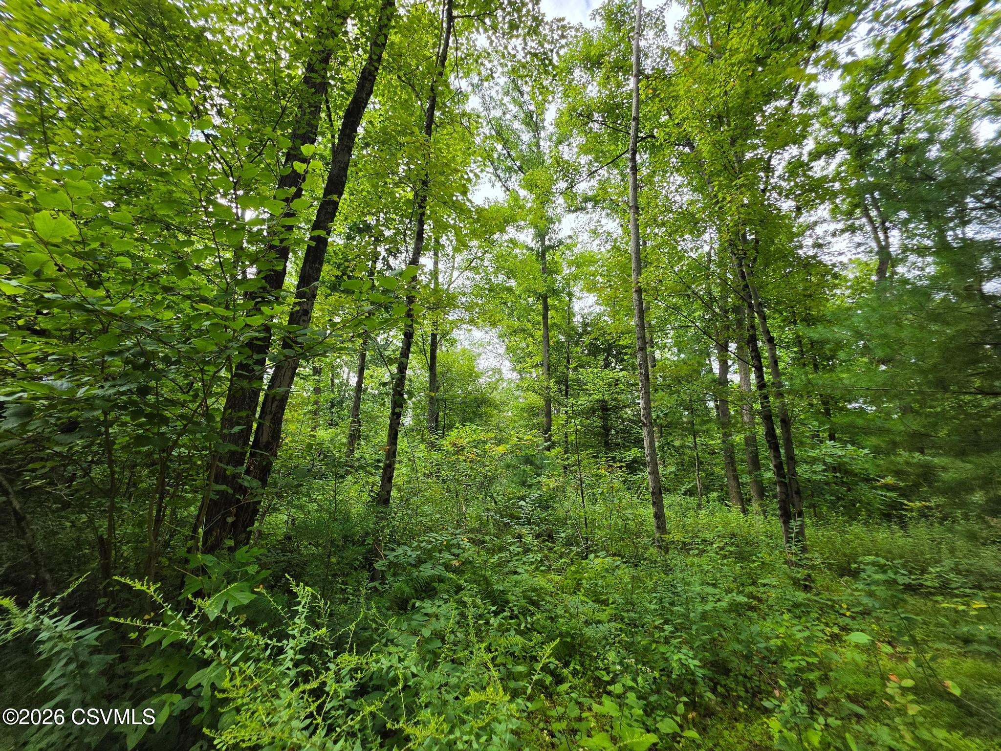 6102 Troxelville Road Beavertown, PA 17813 - Photo 11 of 43 Gallery Image 11