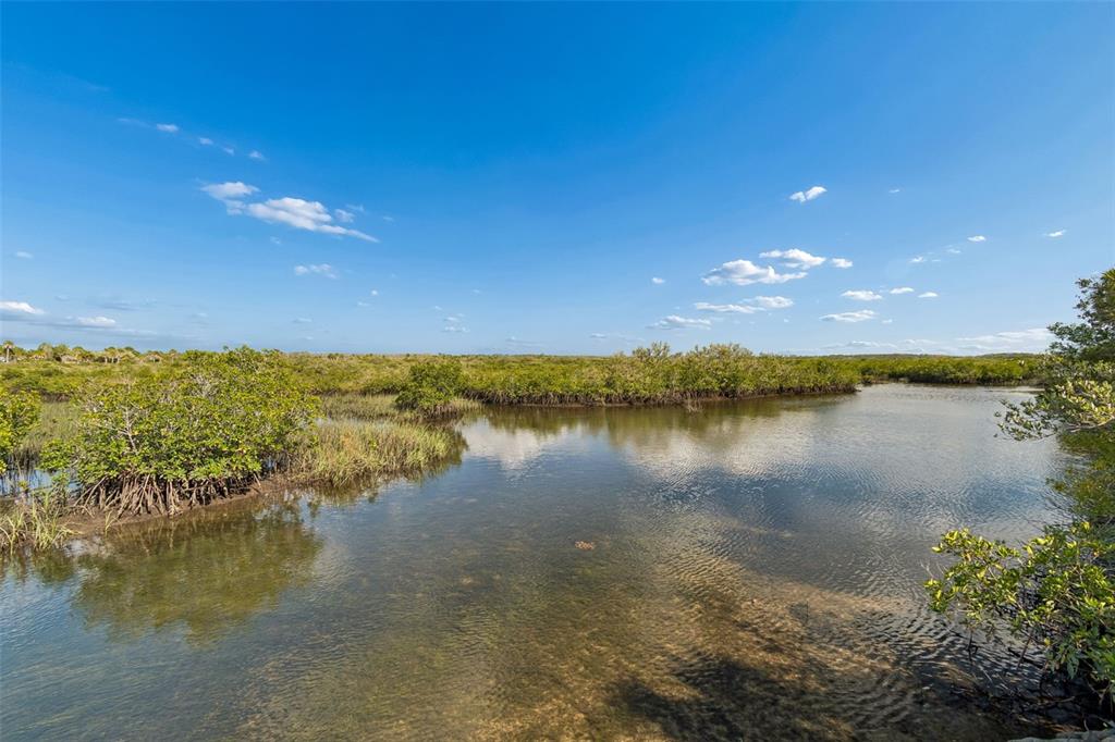 10501 Pine Island Drive Weeki Wachee, FL 34607 - Photo 45 of 54 a view of a lake in middle of a city