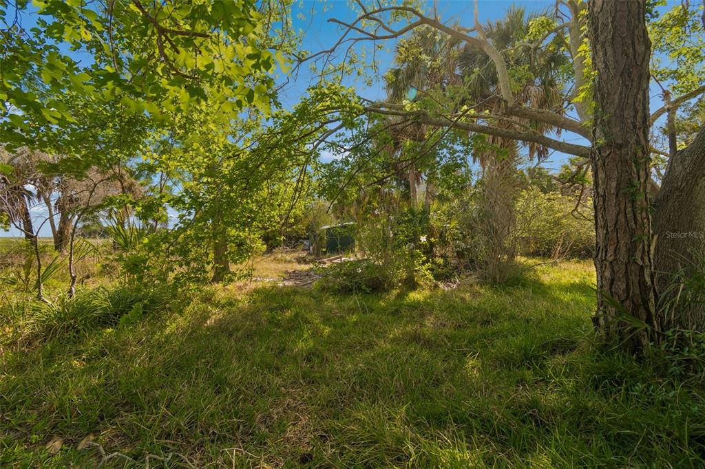 10501 Pine Island Drive Weeki Wachee, FL 34607 - Photo 52 of 54