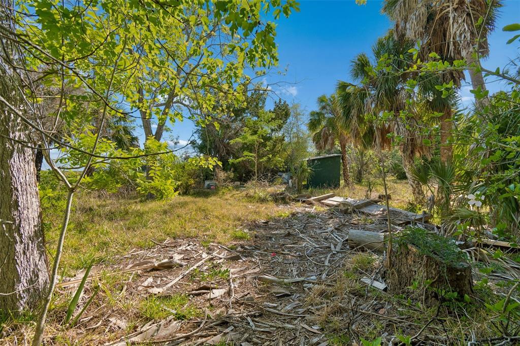 10501 Pine Island Drive Weeki Wachee, FL 34607 - Photo 54 of 54 a view of a yard with plants and wooden fence