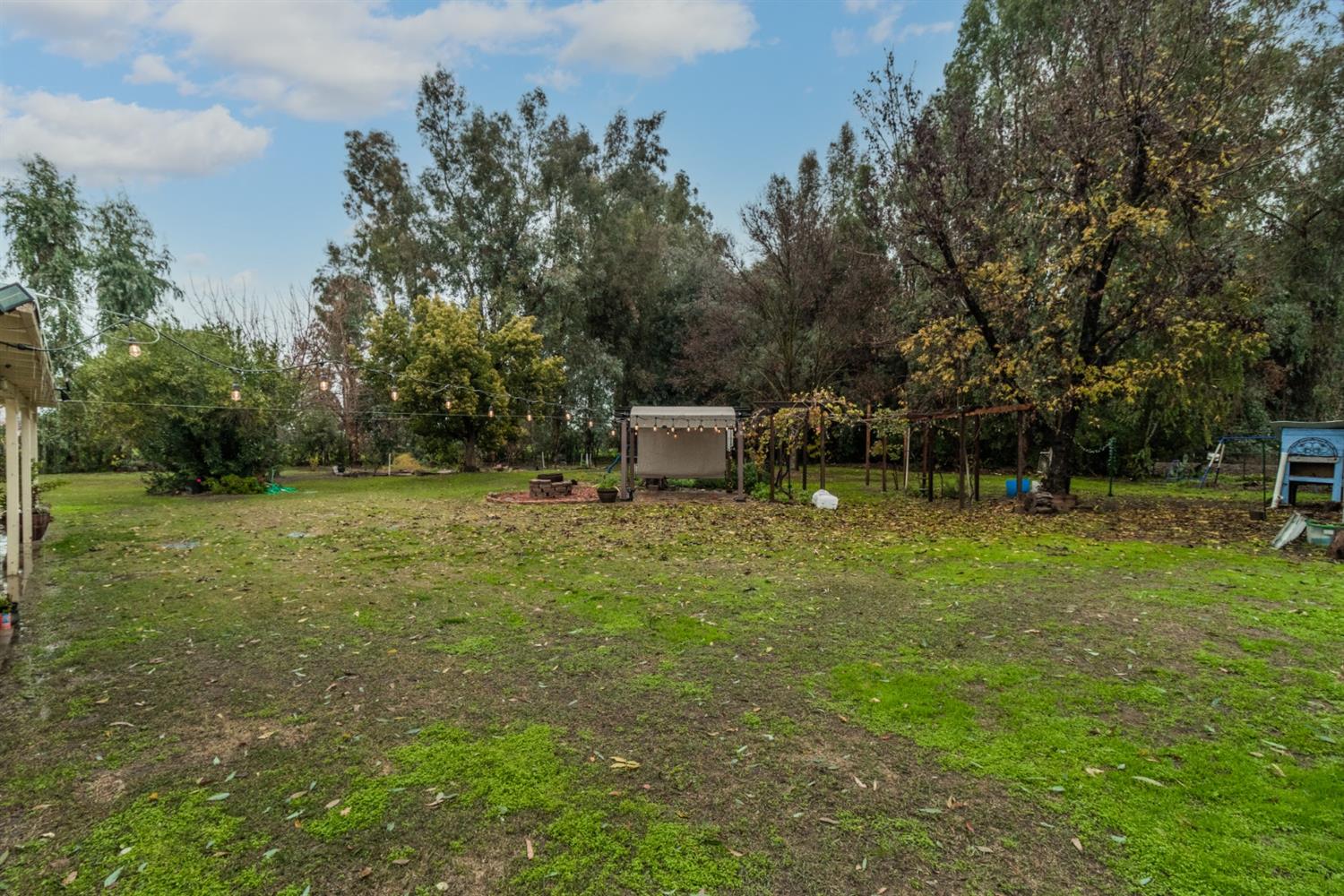 1783 North De Wolf Avenue Clovis, CA 93619 - Photo 30 of 39 a backyard of a house with lots of green space