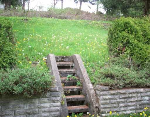7310 Noblestown Road Oakdale, PA 15071 - Photo 14 of 17 Yard/Garden.