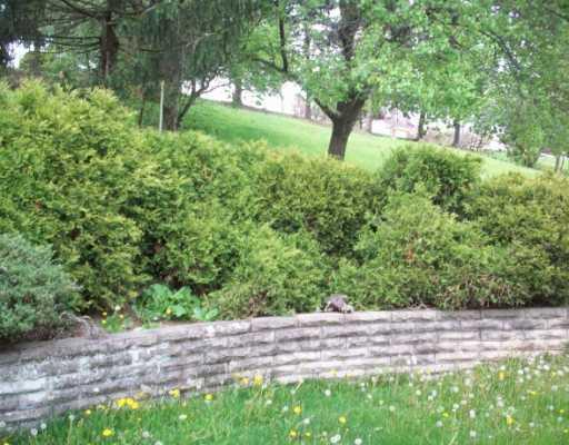 7310 Noblestown Road Oakdale, PA 15071 - Photo 15 of 17 Yard/Garden.