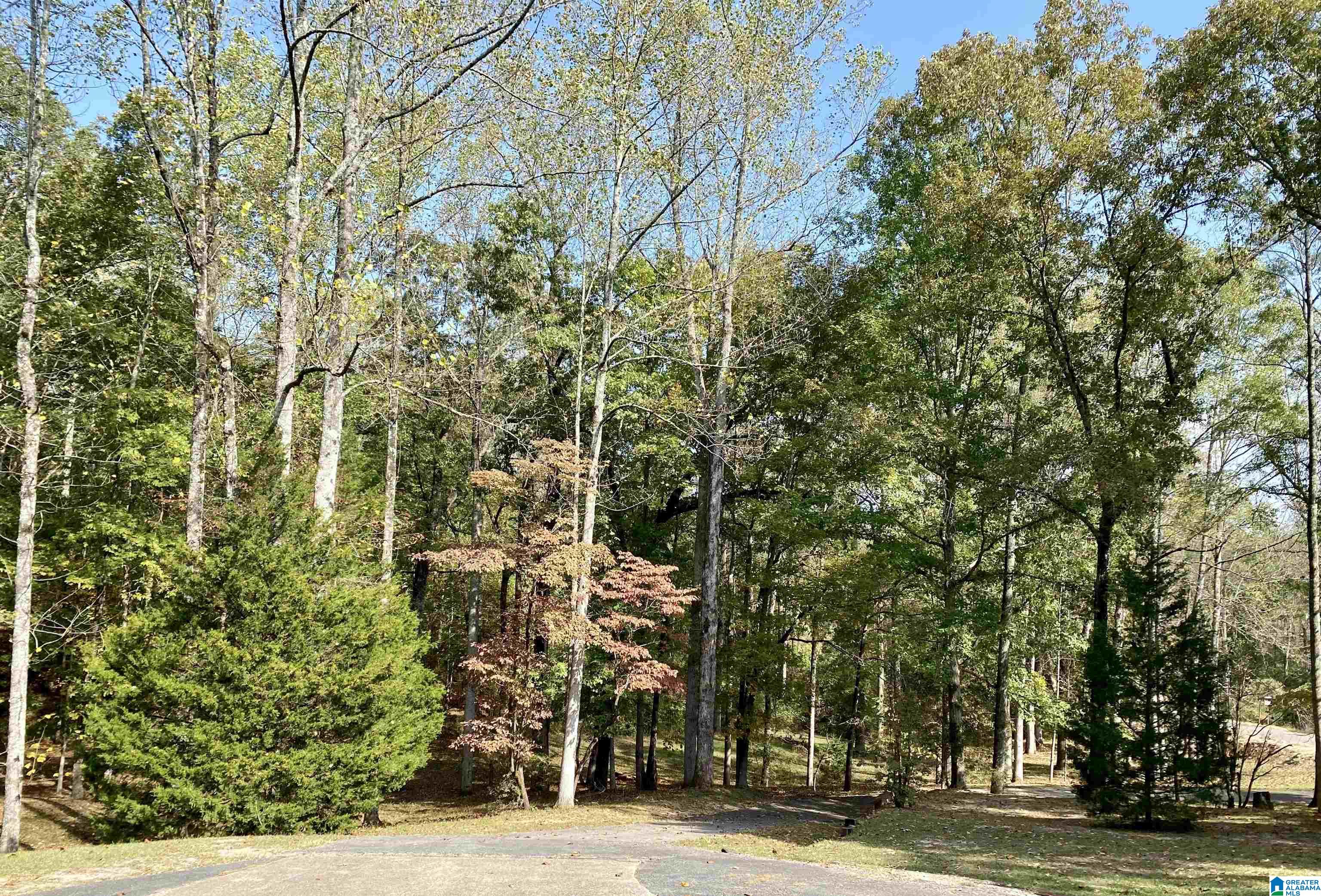 9374 Bagley Road Dora, AL 35062 - Photo 45 of 46