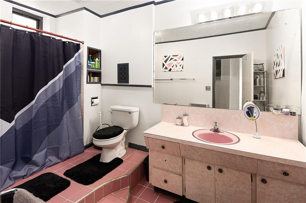 677 Saint Marks Avenue Brooklyn, NY 11216 - Photo 6 of 18 a bathroom with a sink and a mirror