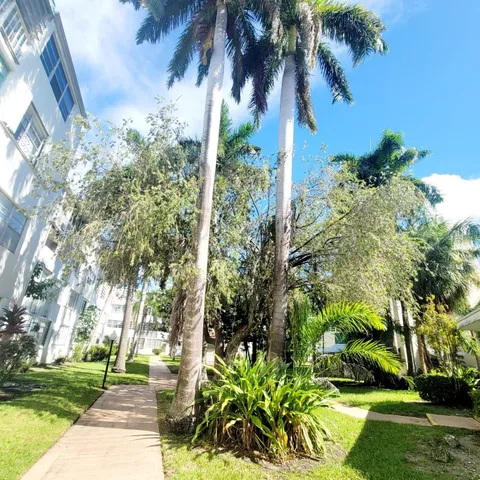 a view of a yard with a palm tree