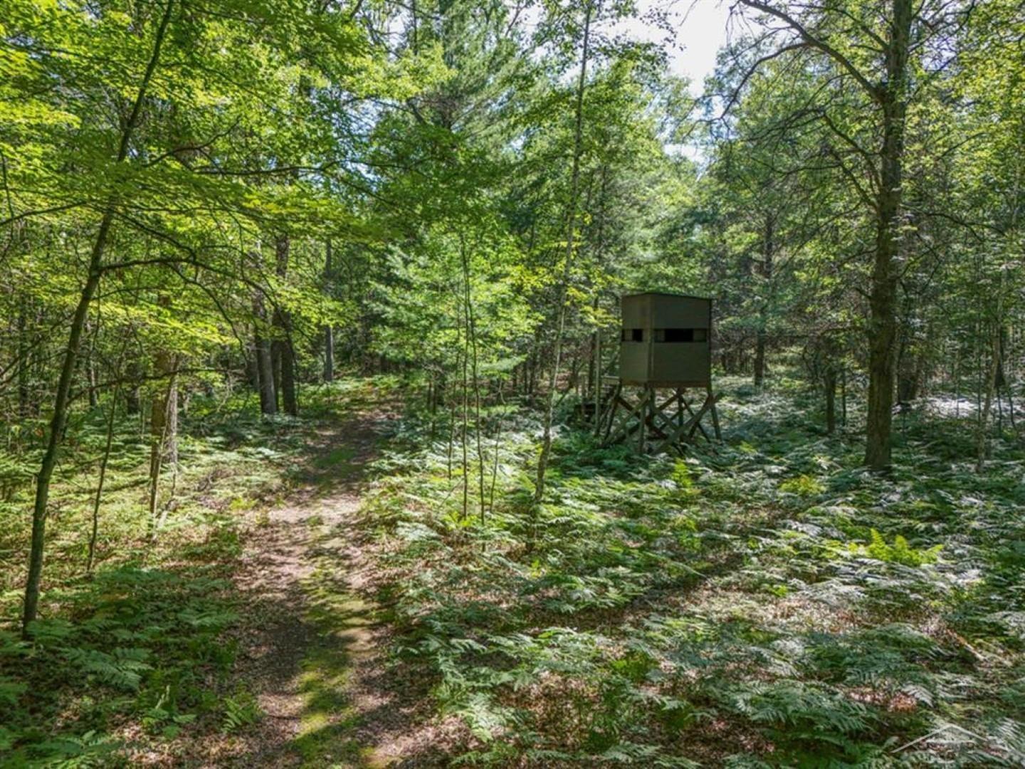 457 East Mier Road Midland, MI 48642 - Photo 46 of 53