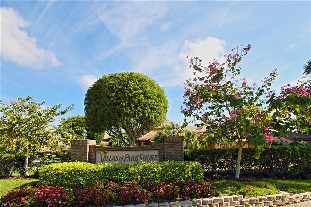 a picture of flowers