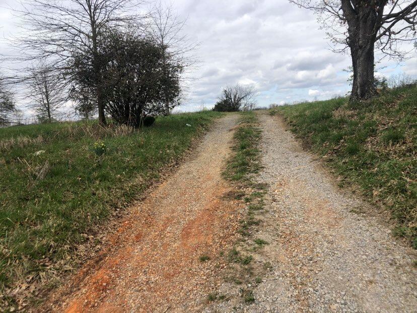 0 Cave Spg Road Albany, KY 42602 - Photo 2 of 19 Additional Photo