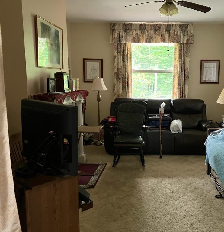 1061 Geyer Road Pittsburgh, PA 15209 - Photo 6 of 27 Large living room space with decorative fireplace and window overlooking the front porch