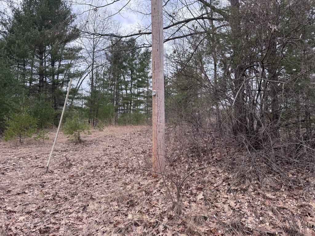 Lot#26 Mt Maria Road Spruce, MI 48762 - Photo 3 of 4 48a0cf8e-bcd1-49ba-8150-c15b442104c1
